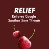 (2 pack) HALLS Relief Sugar Free Black Cherry Flavor Cough Drops, Economy Pack, 1 Bag (70 Drops)